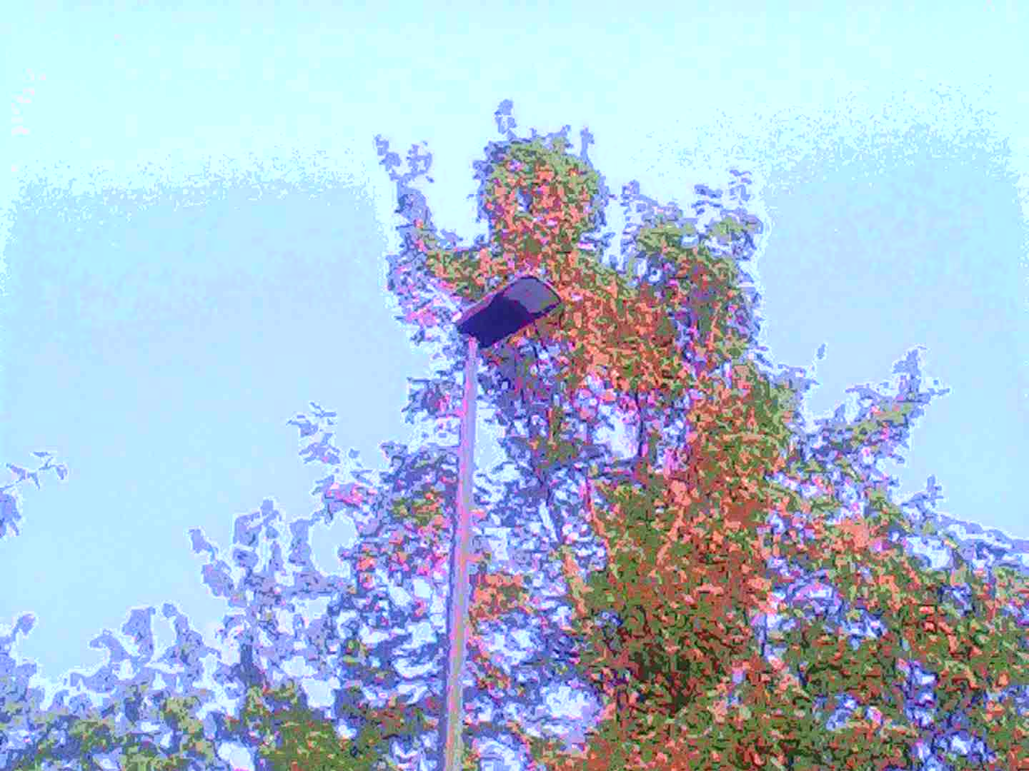Circuit-bent photo of a lamppost