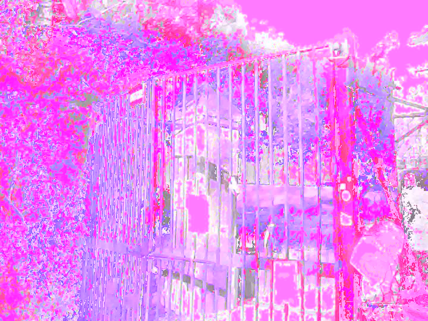 Circuit-bent photo of a gate