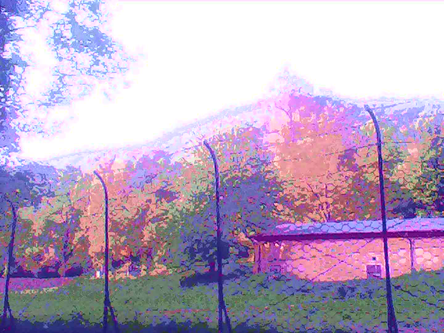 Circuit-bent photo of a natural landscape