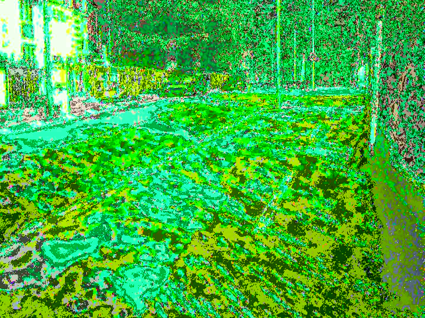 Circuit-bent photo of a barely recognizable street