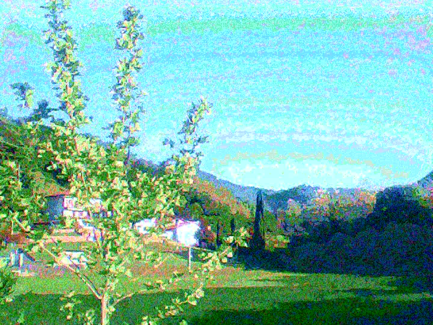 Circuit-bent photo of a natural landscape